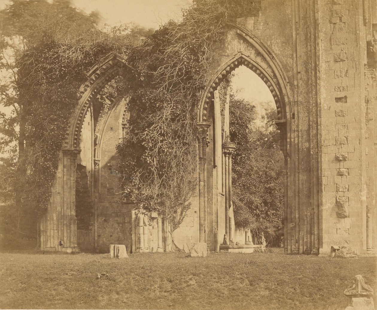 Opatství Glastonbury, oblouky severní boční lodi od Roger Fenton