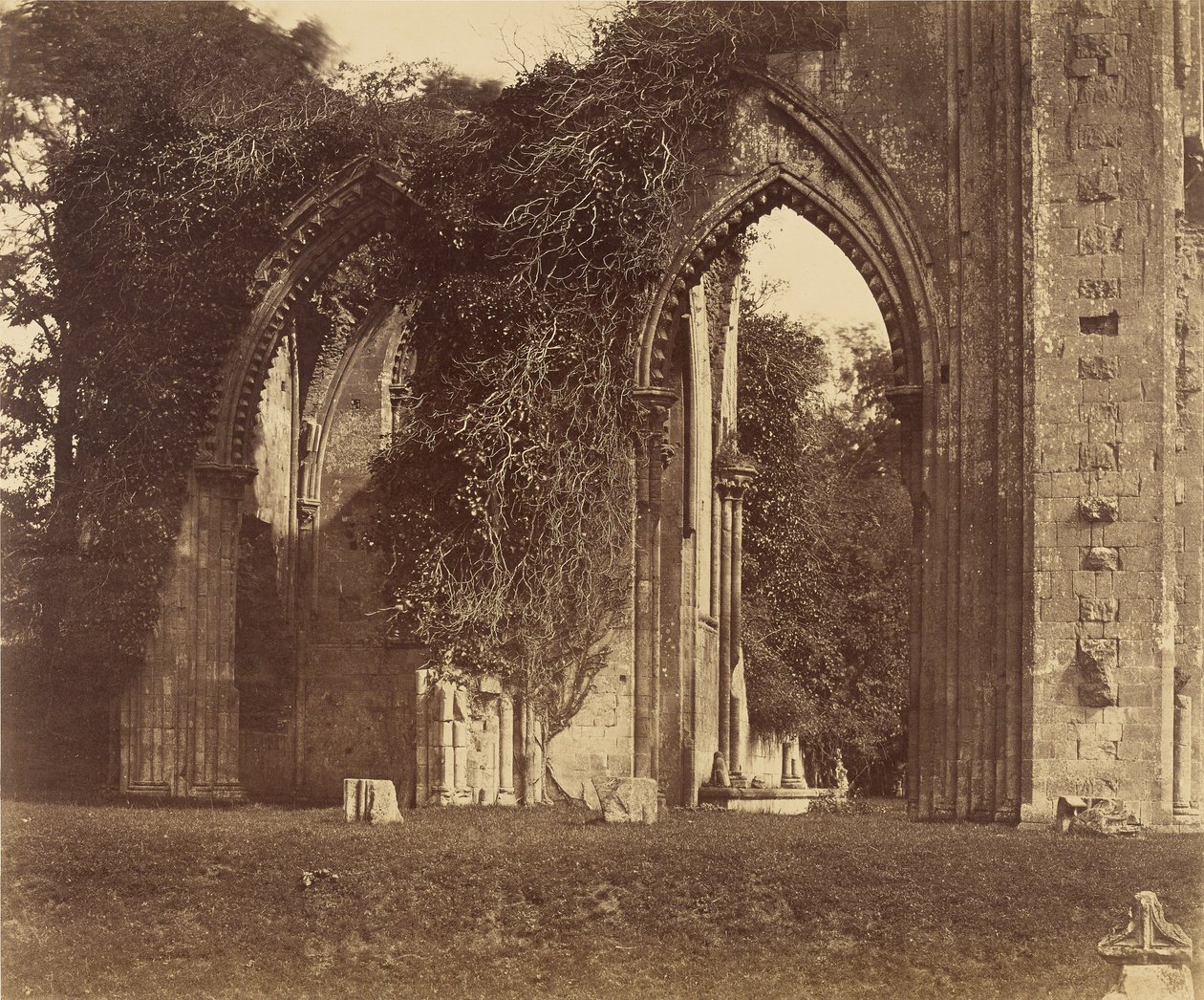 Opatství Glastonbury, oblouky severní boční lodi od Roger Fenton