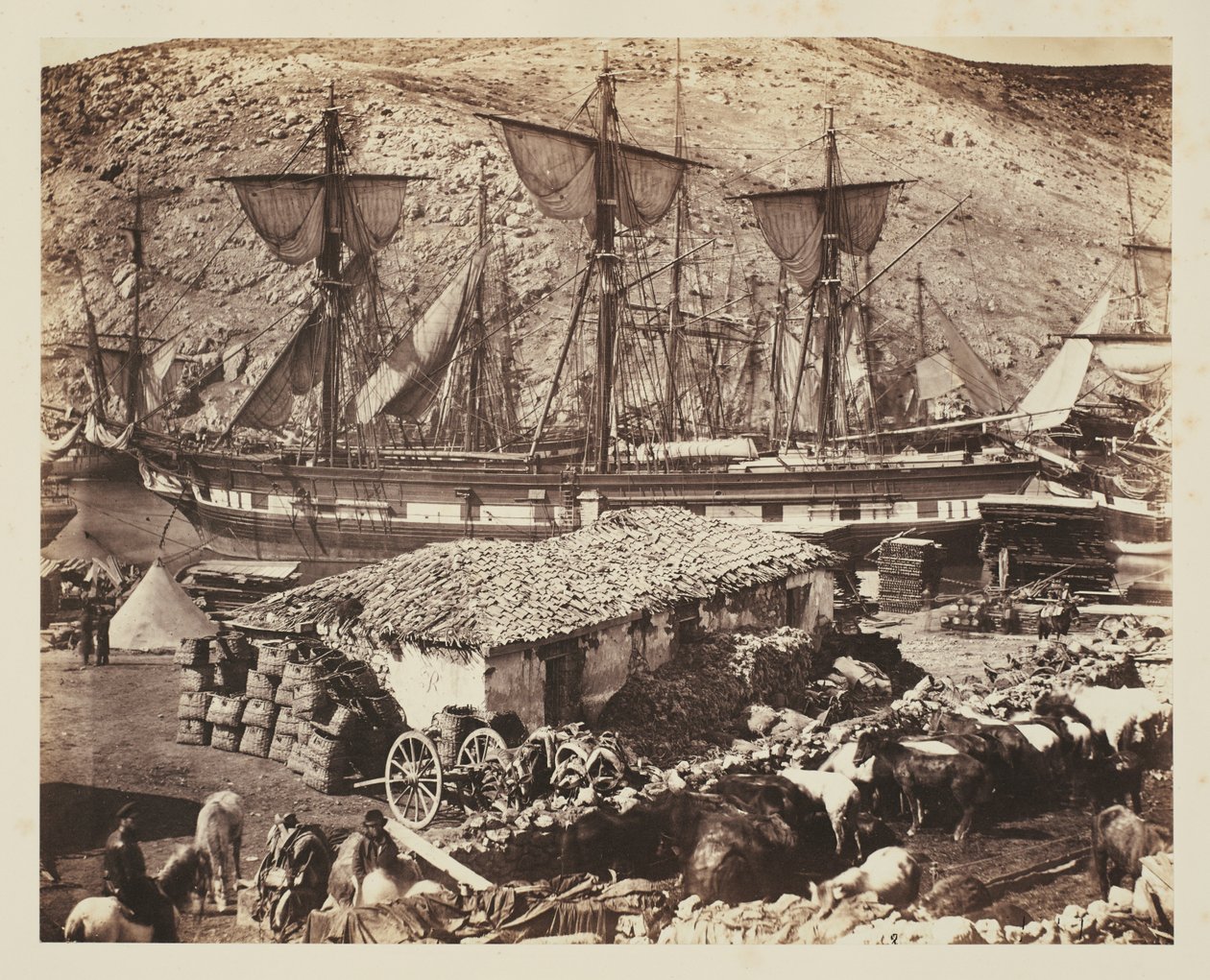 Přístav Balaklava, molo pro dobytek od Roger Fenton