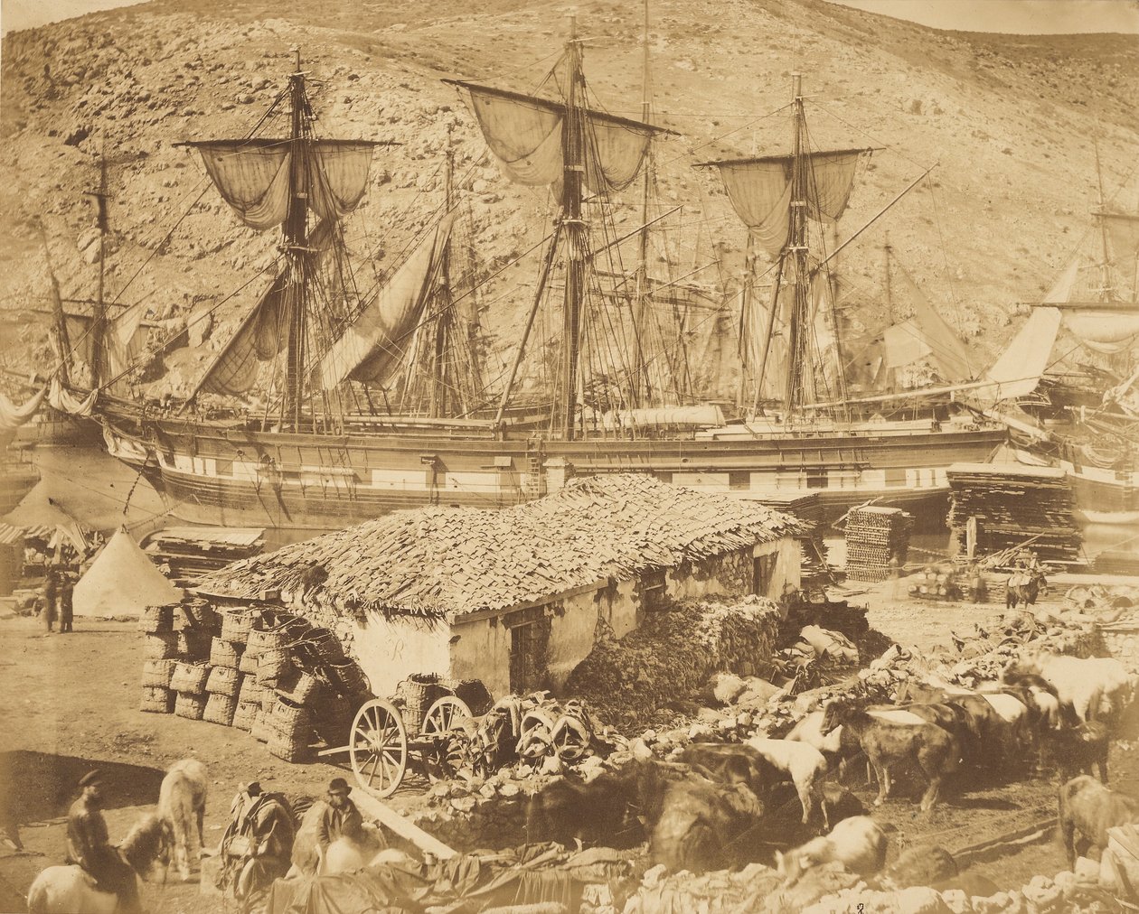 Přístav Balaklava, molo pro dobytek od Roger Fenton
