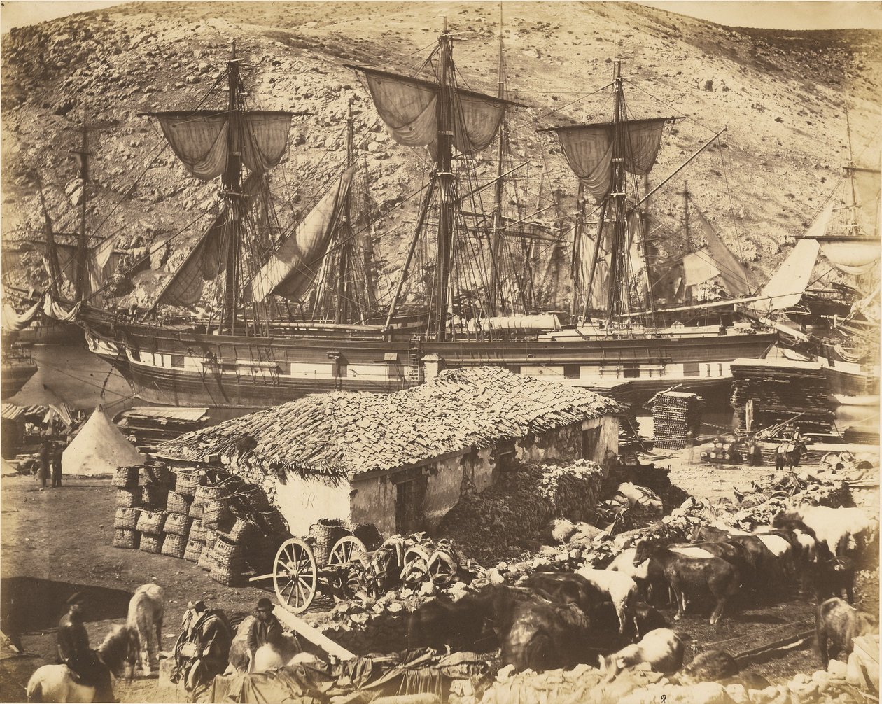 Přístav Balaklava, molo pro dobytek od Roger Fenton