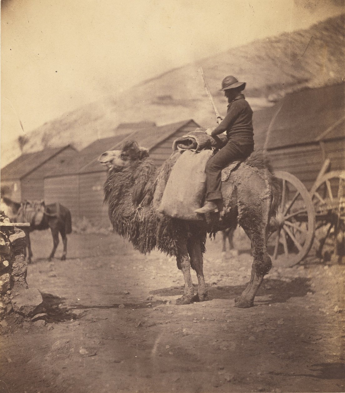 [Muž jedoucí na velbloudu] od Roger Fenton