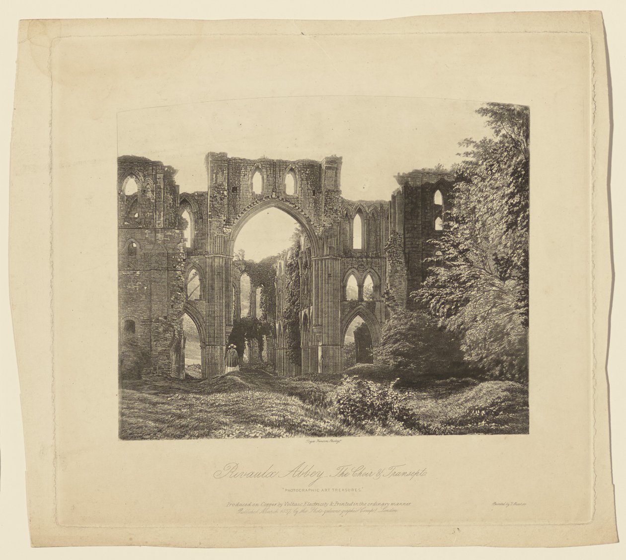 Opatství Rivaulx, chór a příčná loď od Roger Fenton