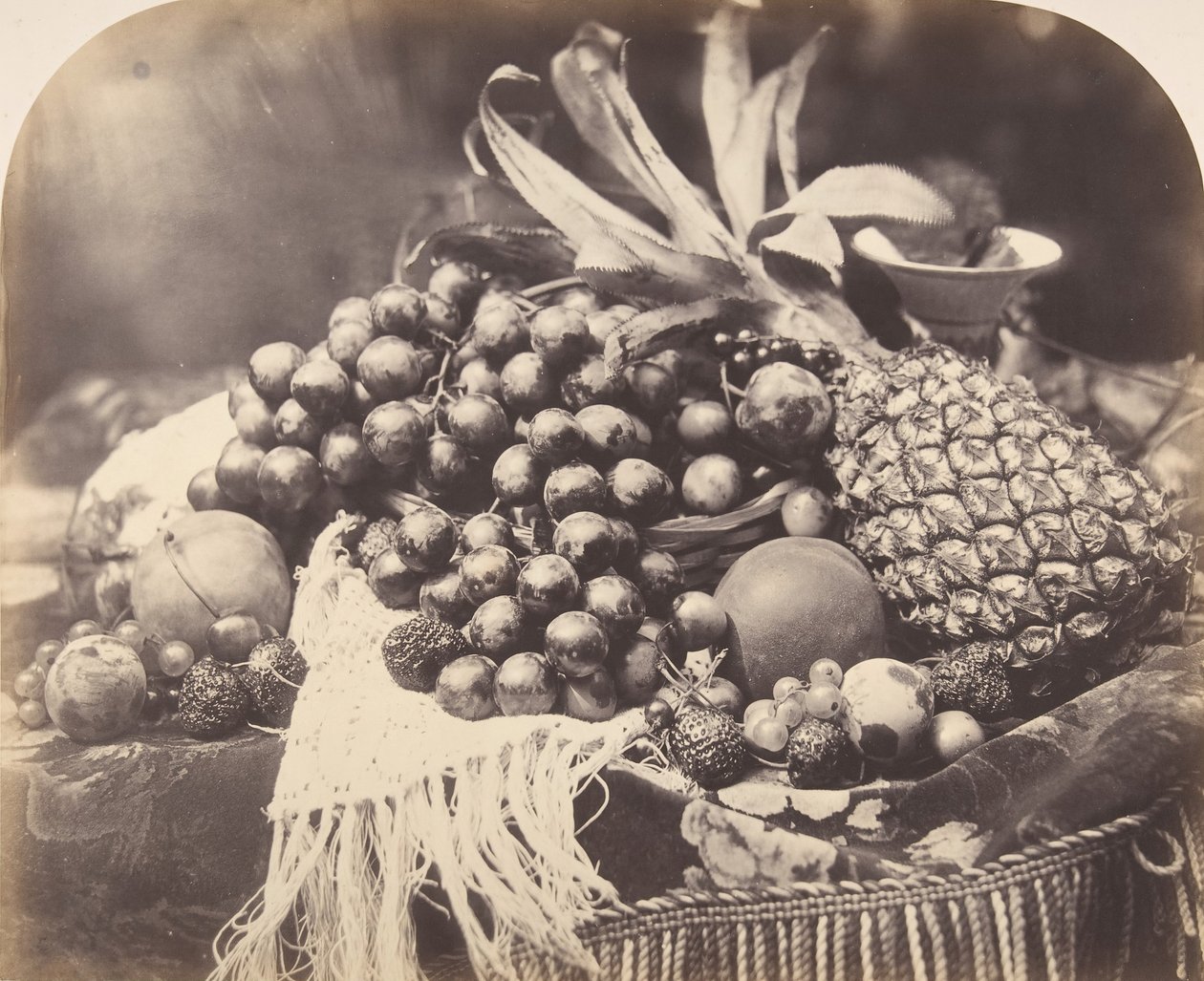 Zátiší s ovocem, 1860. od Roger Fenton