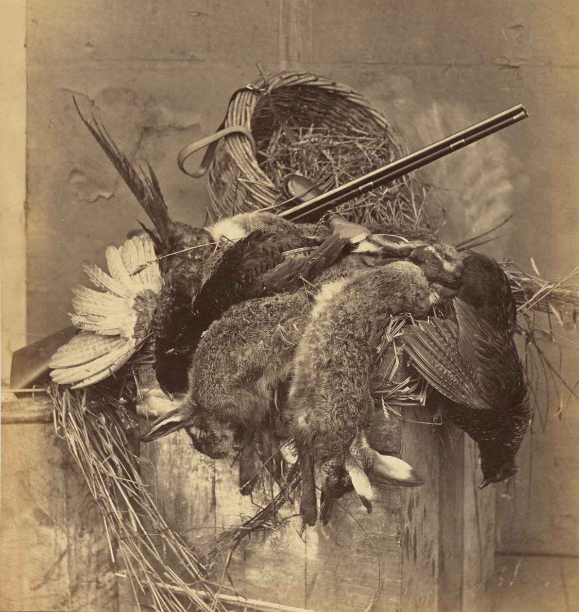[Zátiší se zvěří a zbraní] od Roger Fenton