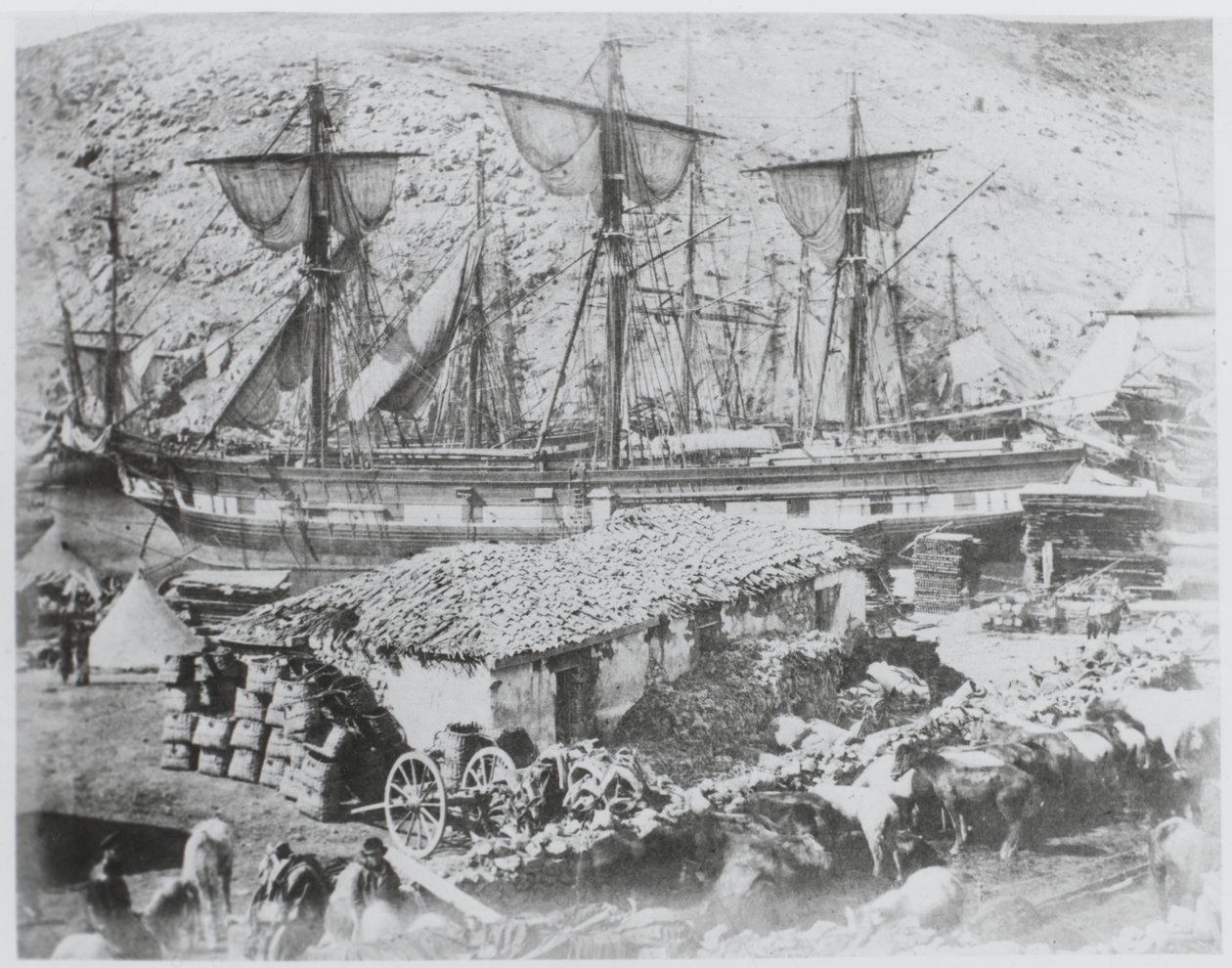 „Dobytčí molo v přístavu Balaklava od Roger Fenton