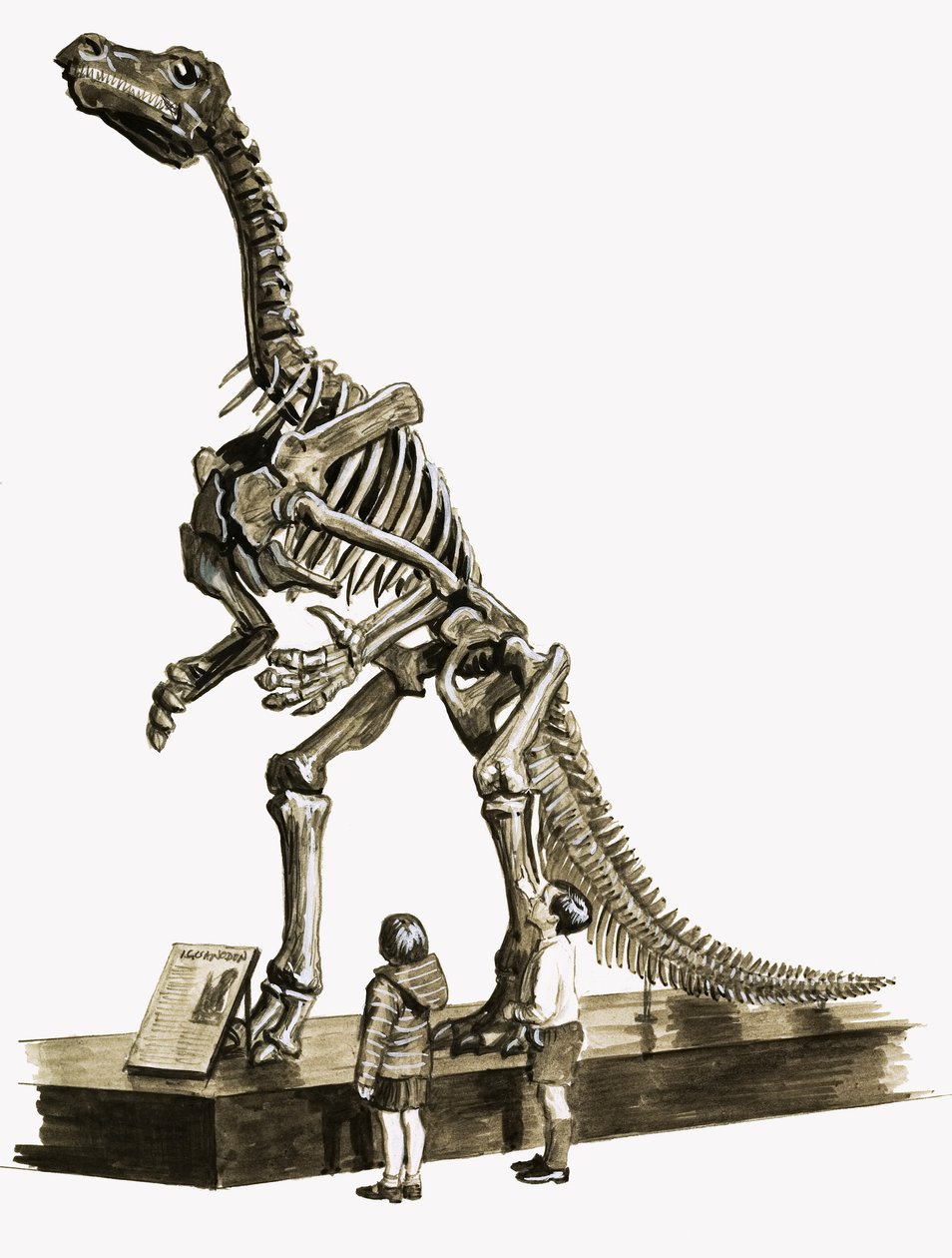 Ve dnech dinosaurů: Záhada stará sto milionů let od Roger Payne