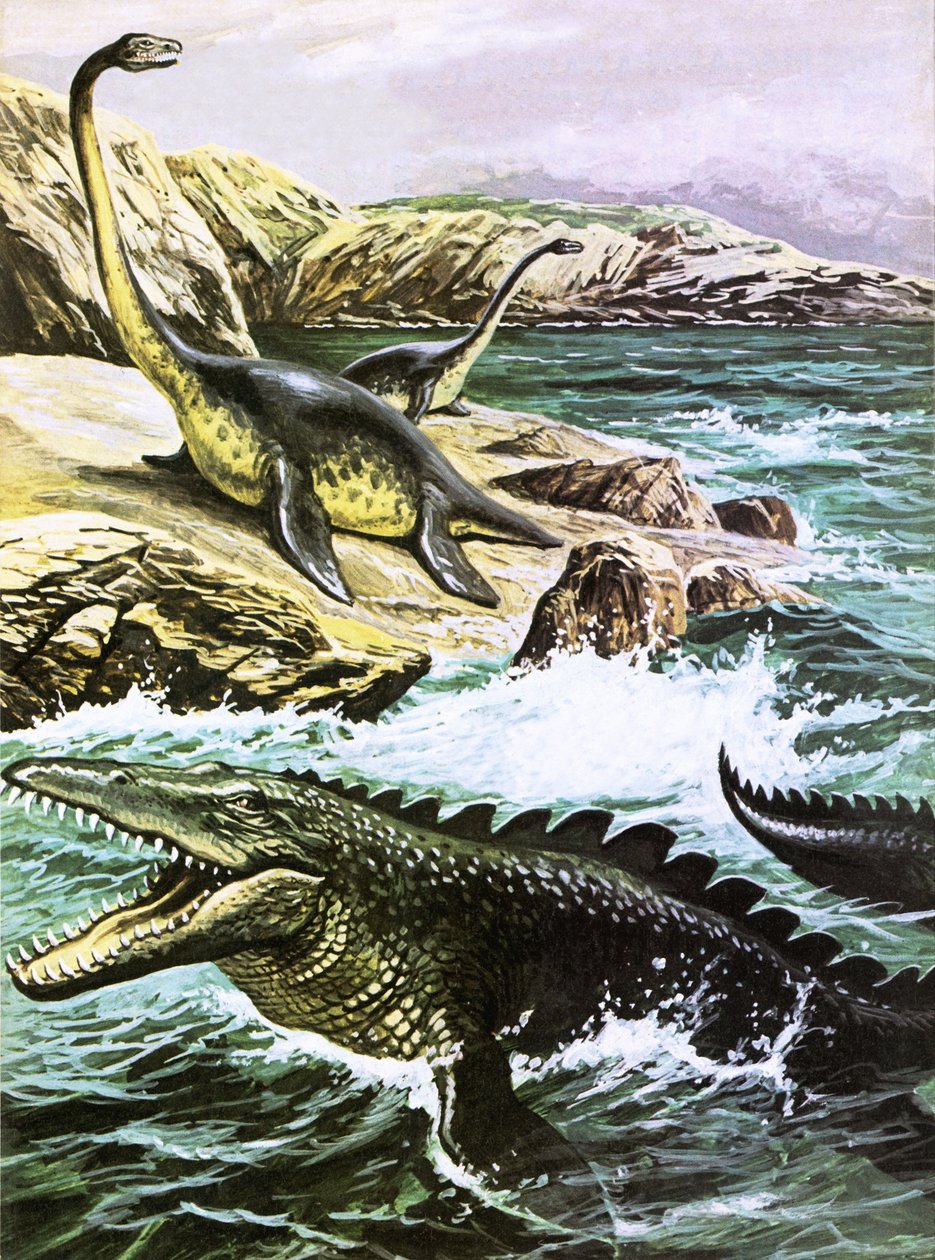 Plesiosaurus (nahoře) a Tylosaurus (dole) od Roger Payne
