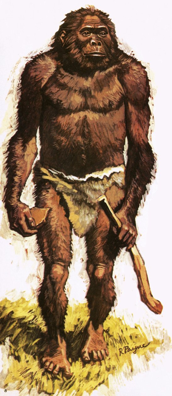 Prehistorický člověk od Roger Payne