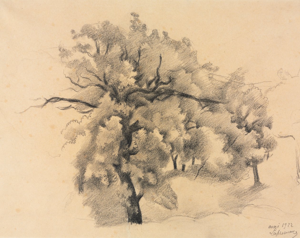 Studium stromů od Roger de La Fresnaye