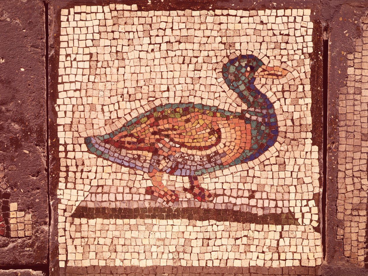 A Duck, detail z Orpheus Charming the Animals (mozaika) od Roman