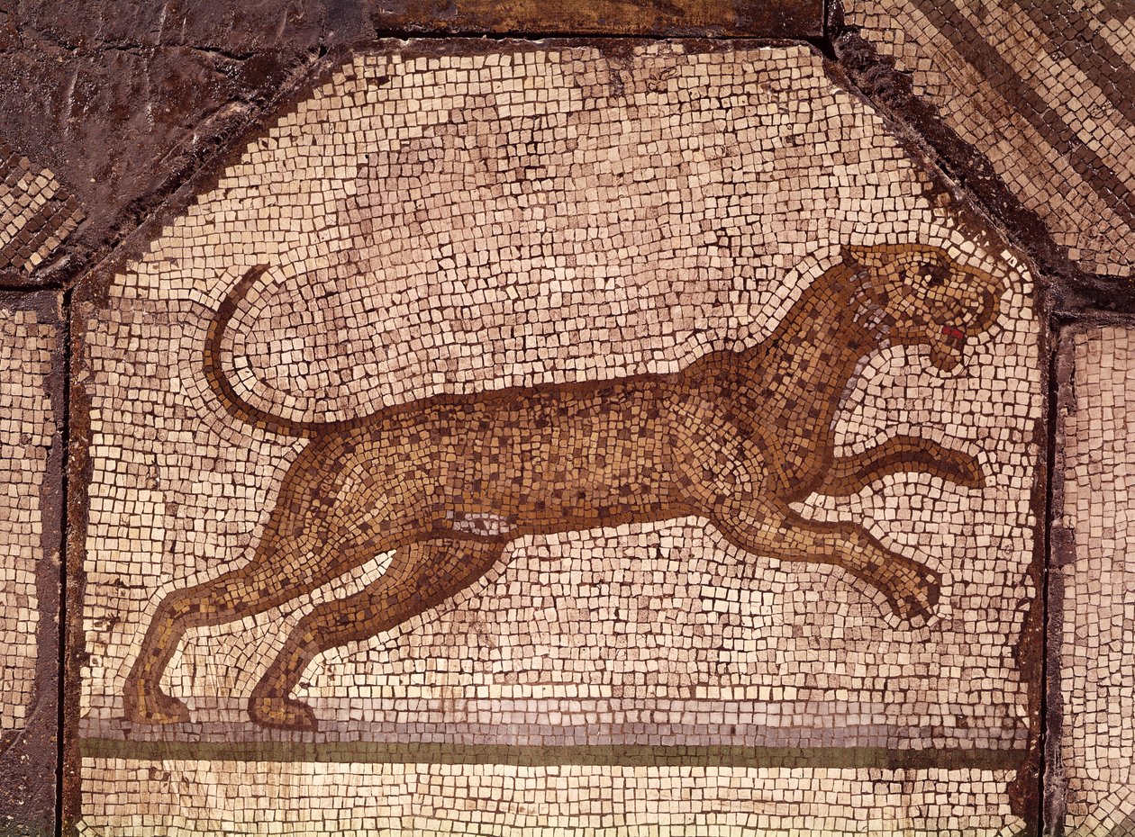 Leopard, detail z mozaiky Orfeus okouzluje zvířata (mozaika) od Roman