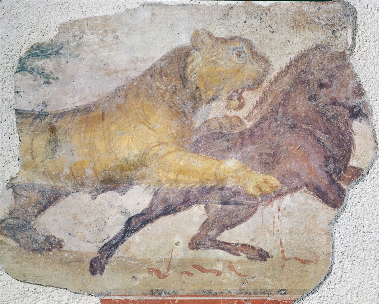 Tygr útočící na divoké prase z amfiteátru Merida od Roman
