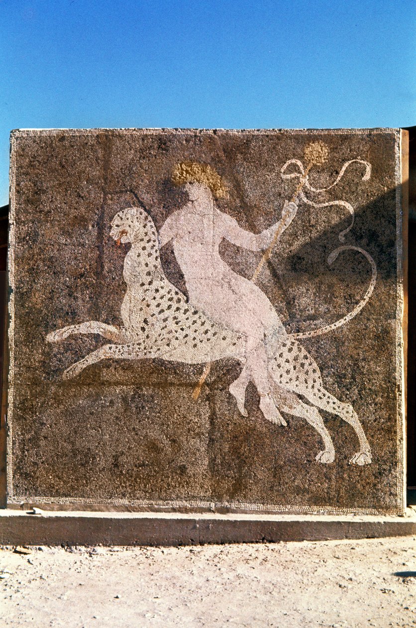 Bakchus na leopardovi, 1.-2. století n. l. (mozaika) od Roman