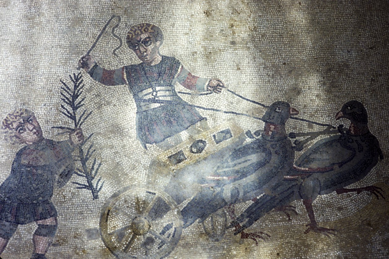 Ptačí vozataj (mozaika) od Roman