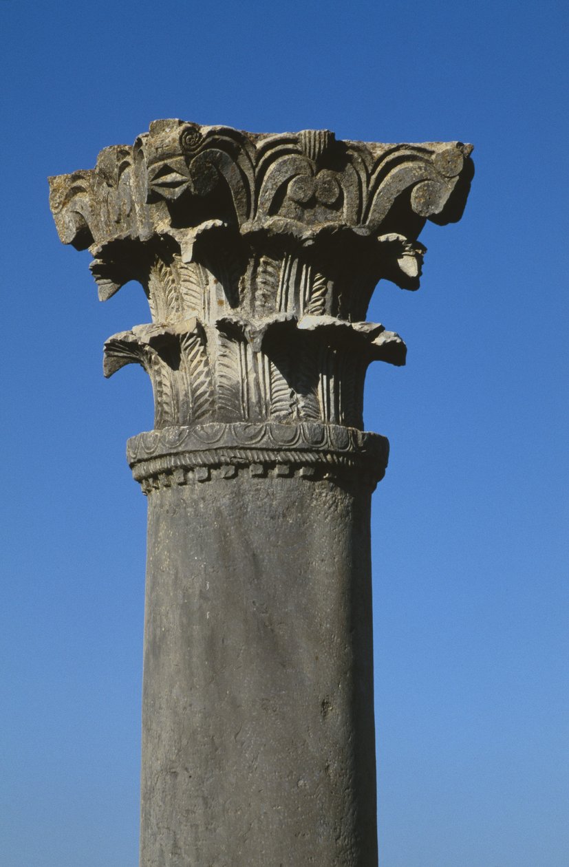 Hlavní město korintského stylu od Roman