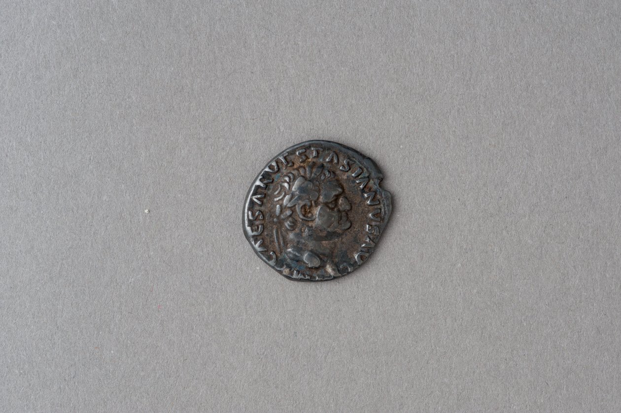 Denár Vespasianův (stříbrný) od Roman