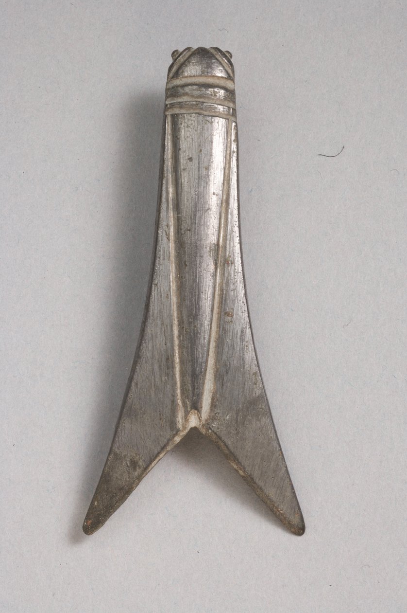 Fibula cikády (cínovaný bronz) (viz také 325638) od Roman