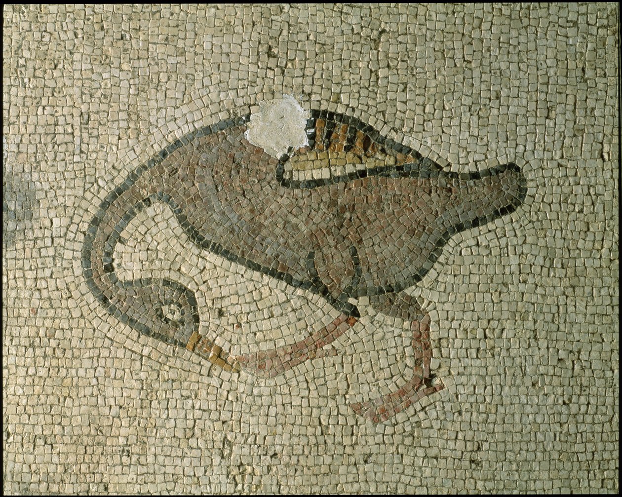 Podlaha baziliky (mozaika) od Roman