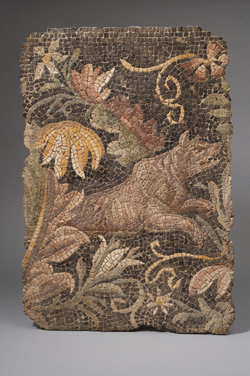 Fragment mozaiky zobrazující vlka (mozaika) od Roman