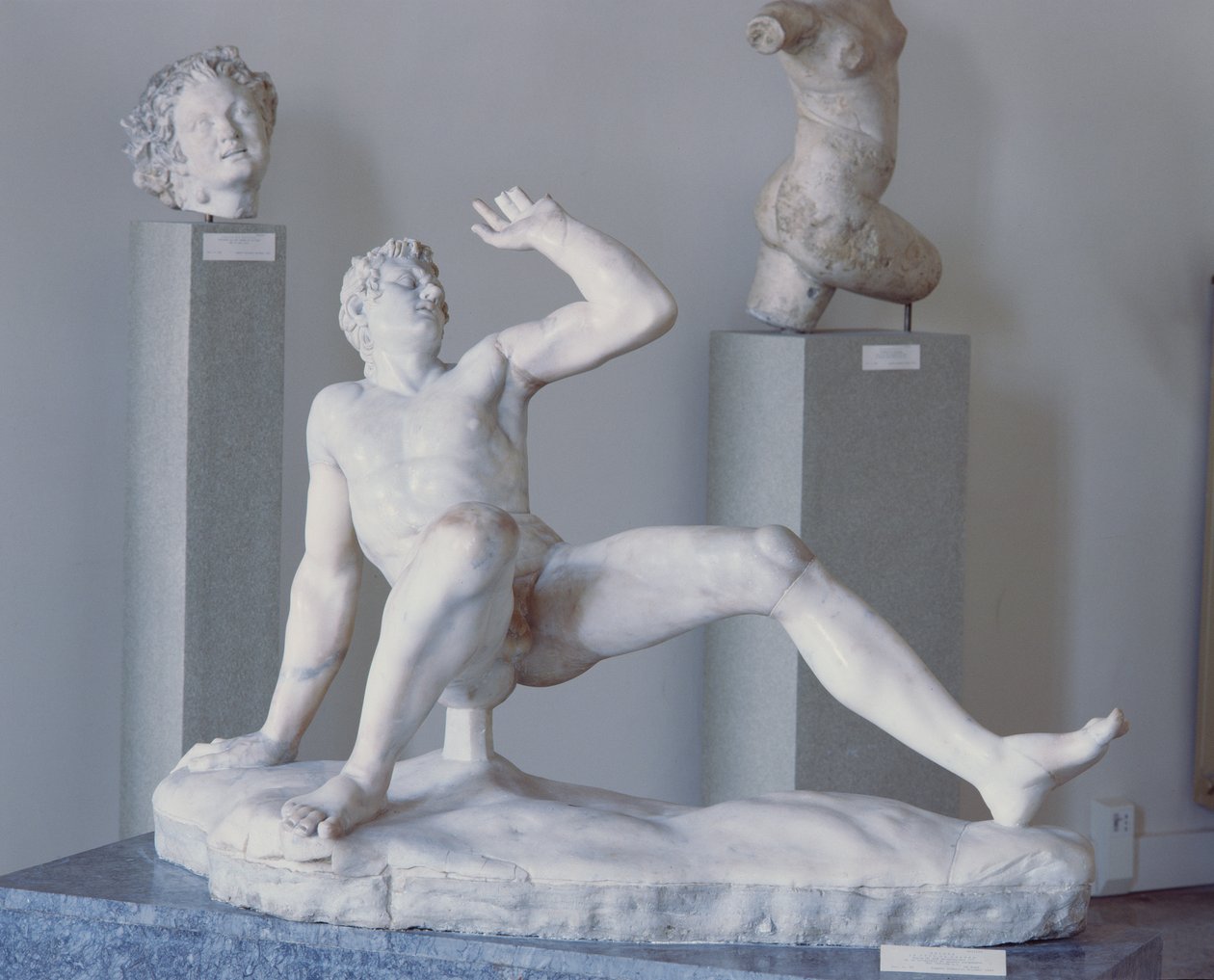 Gallo Cadente (mramor) od Roman
