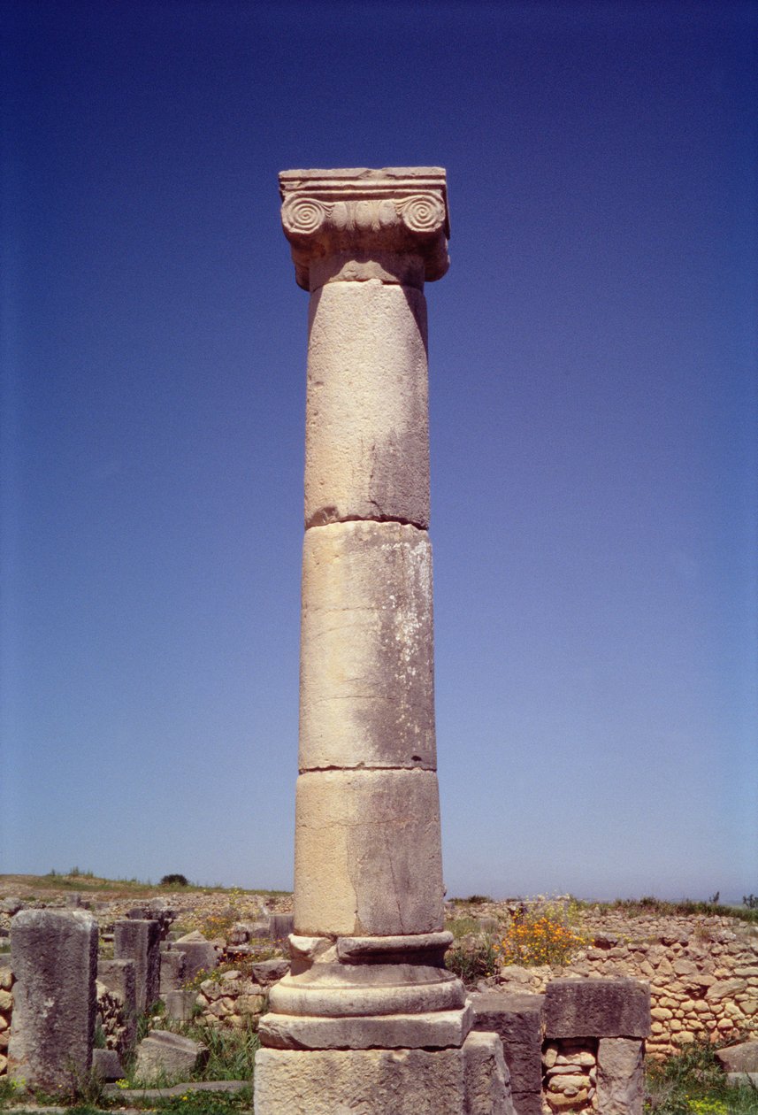 Iónský sloup na Decumanus Maximus od Roman