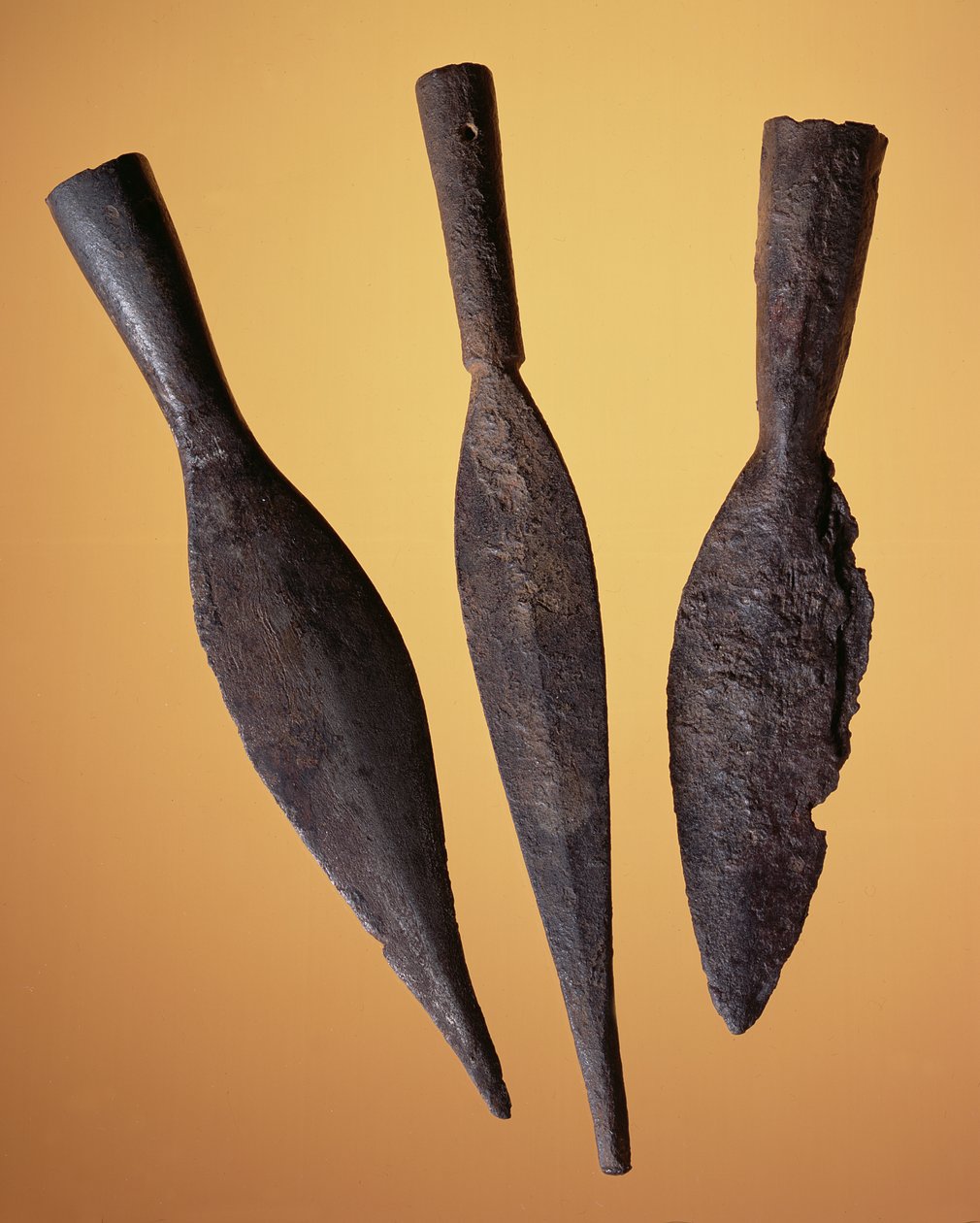 Oštěpové hlavy, z římského naleziště v Newstead, Melrose, AD 80-100 (železo) od Roman