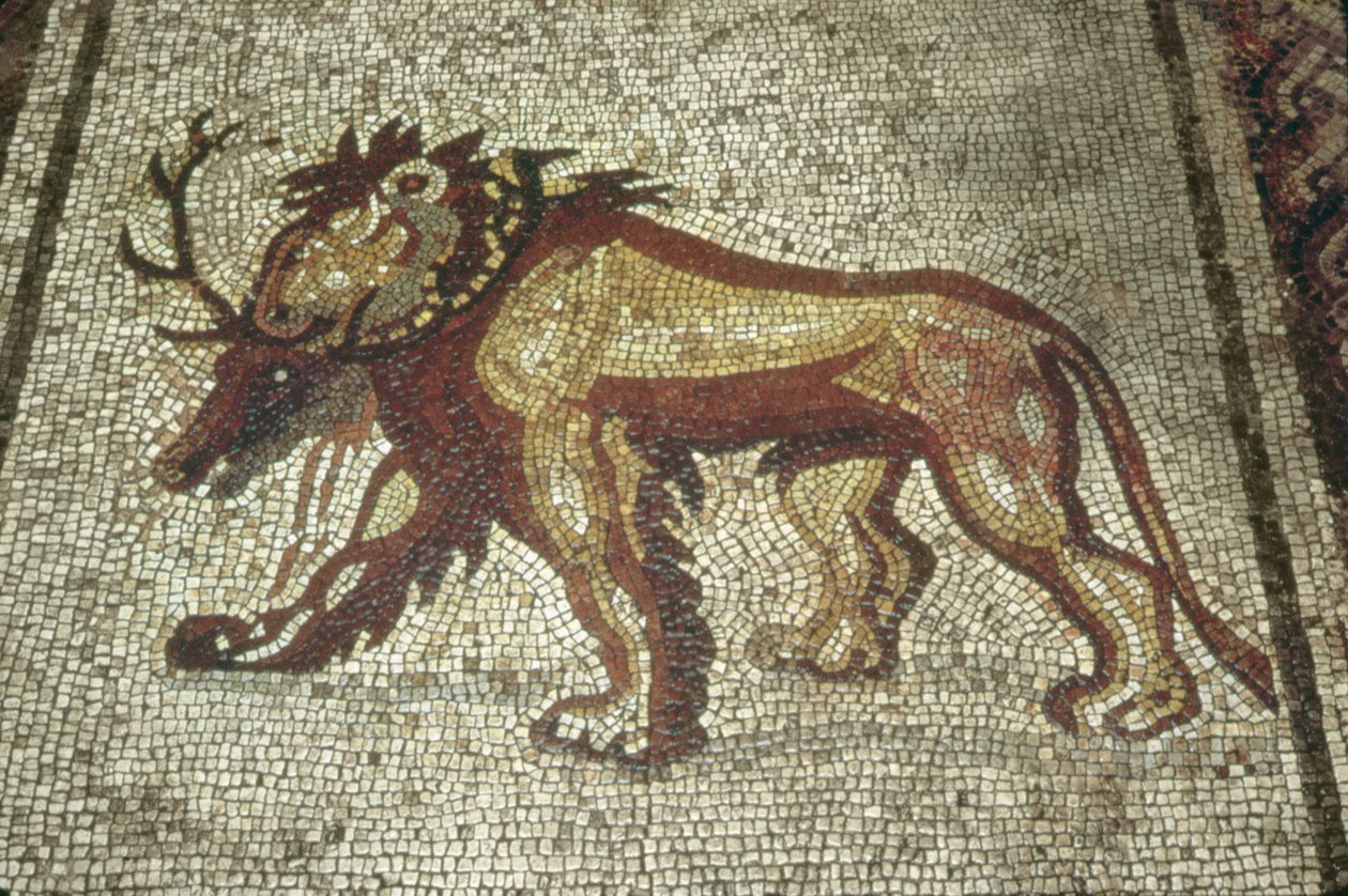 Lev, Insula XXI, budova 2 konec 2. století našeho letopočtu (mozaika) od Roman