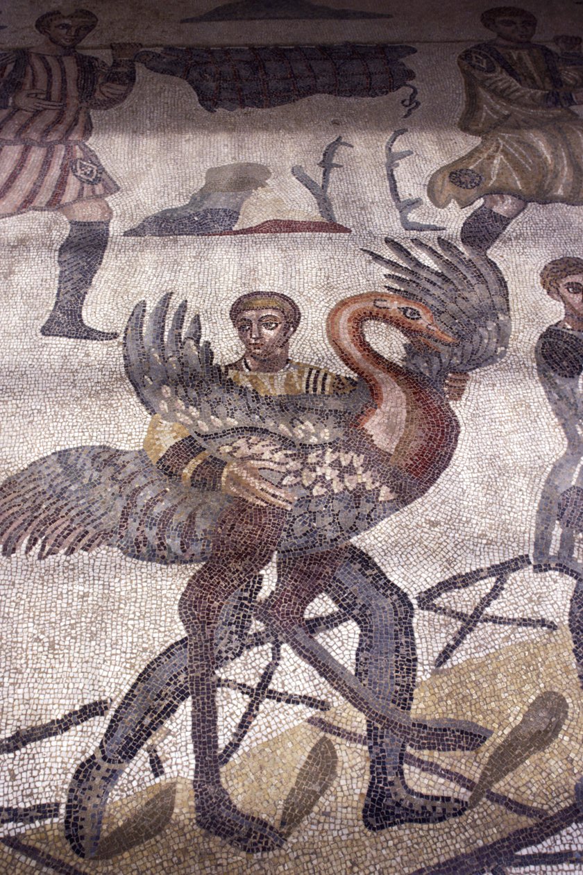 Muž nesoucí labuť, detail z lovecké scény (mozaika) od Roman