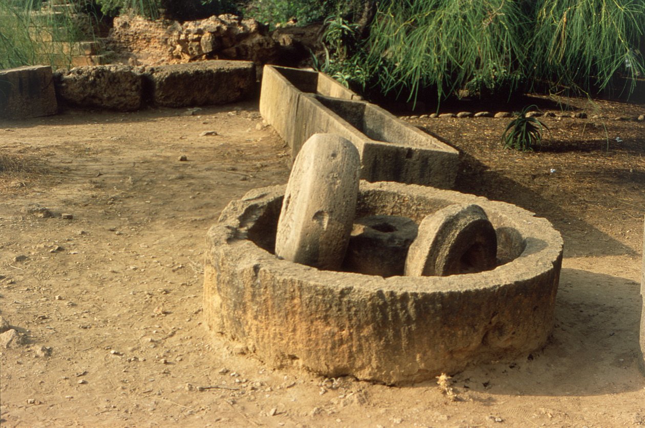Lis na olej od Roman