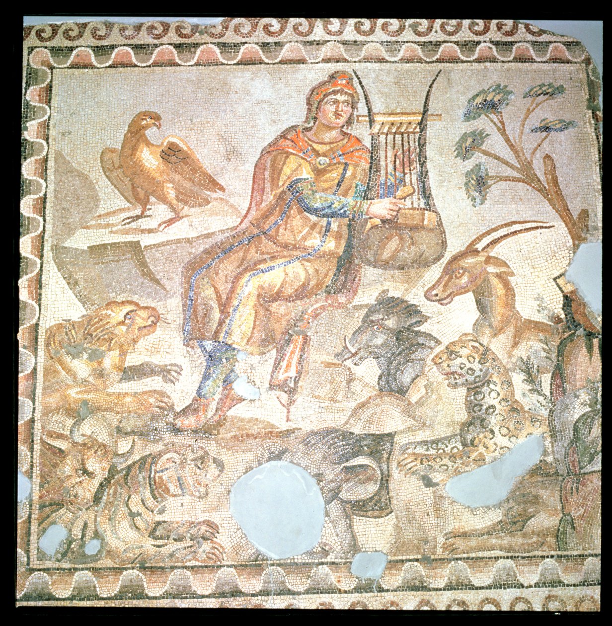 Orfeus si hraje na zvířata, římská mozaika (mozaika) od Roman