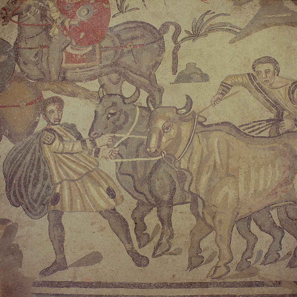 Voli přepravující vodu, římská mozaika, počátek 4. století (mozaika) od Roman