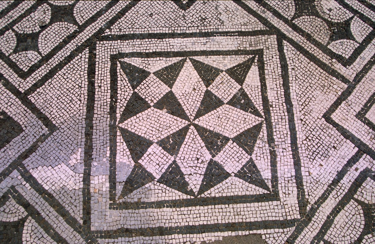 Vzorované podlahy (mozaika) od Roman