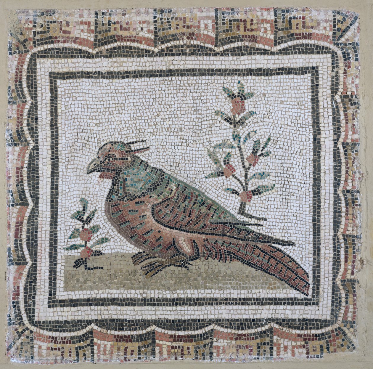 Dlažba zobrazující bažanta (mozaika) od Roman