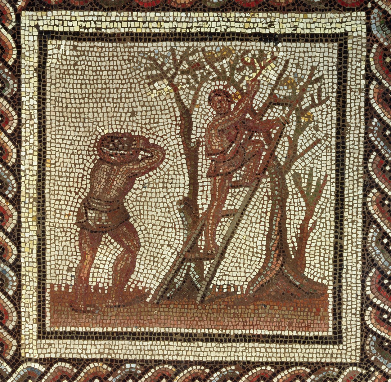 Sbírání ovoce, římská mozaika ze Saint-Romain-en-Gal, Francie, AD 200-225 od Roman