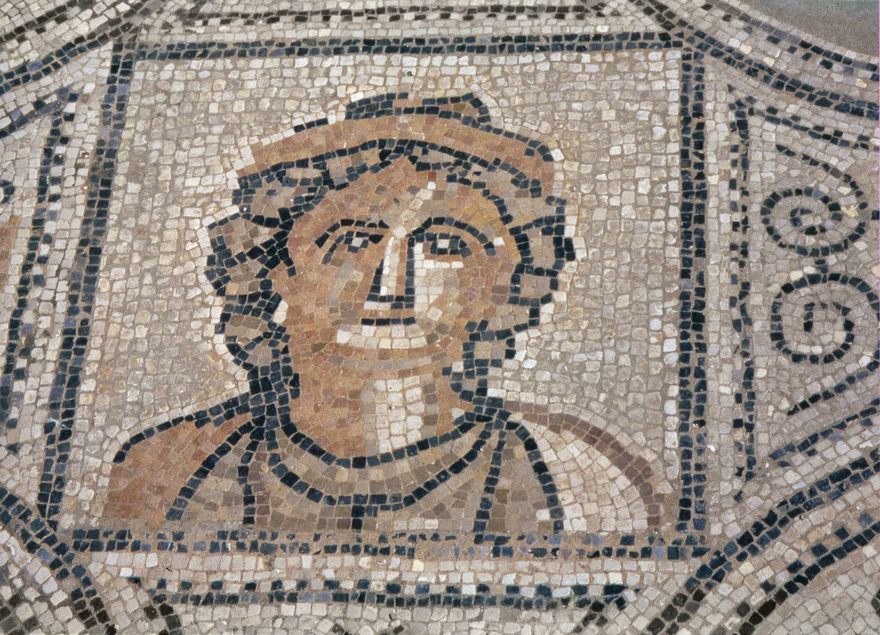 Římanka, z podlahy domu (mozaika) od Roman