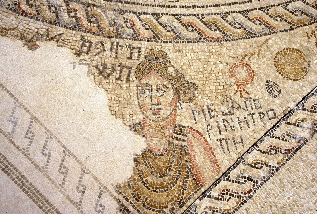 Sepphoris mozaika, Tzippori (mozaika) od Roman