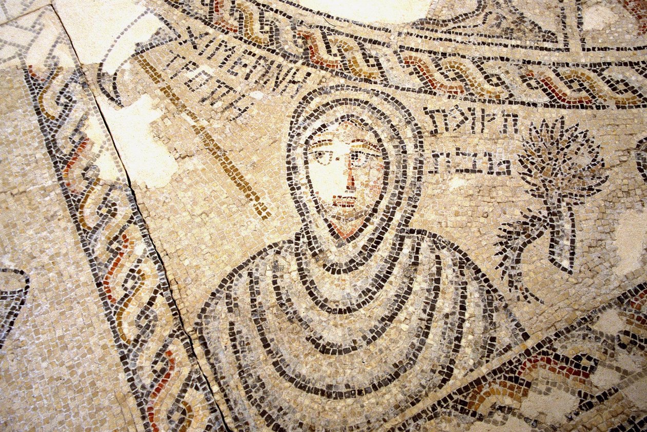Sepphoris mozaika, Tzippori (mozaika) od Roman