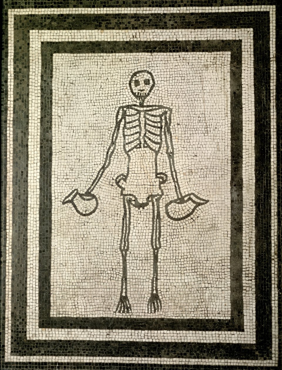 Kostra pohárníka (mozaika) od Roman