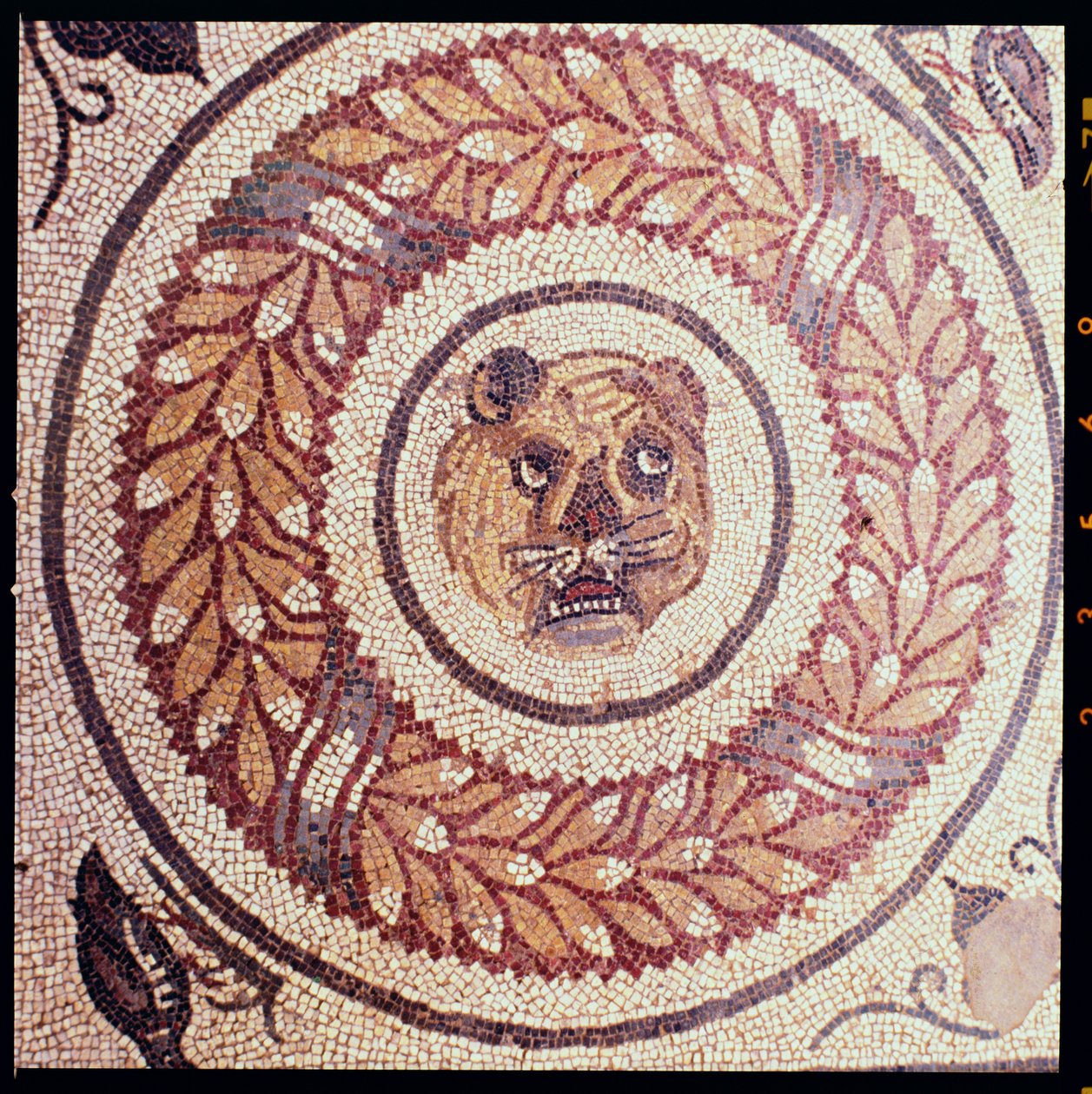 Tygří hlava, římská mozaika, začátek 4. století (mozaika) od Roman