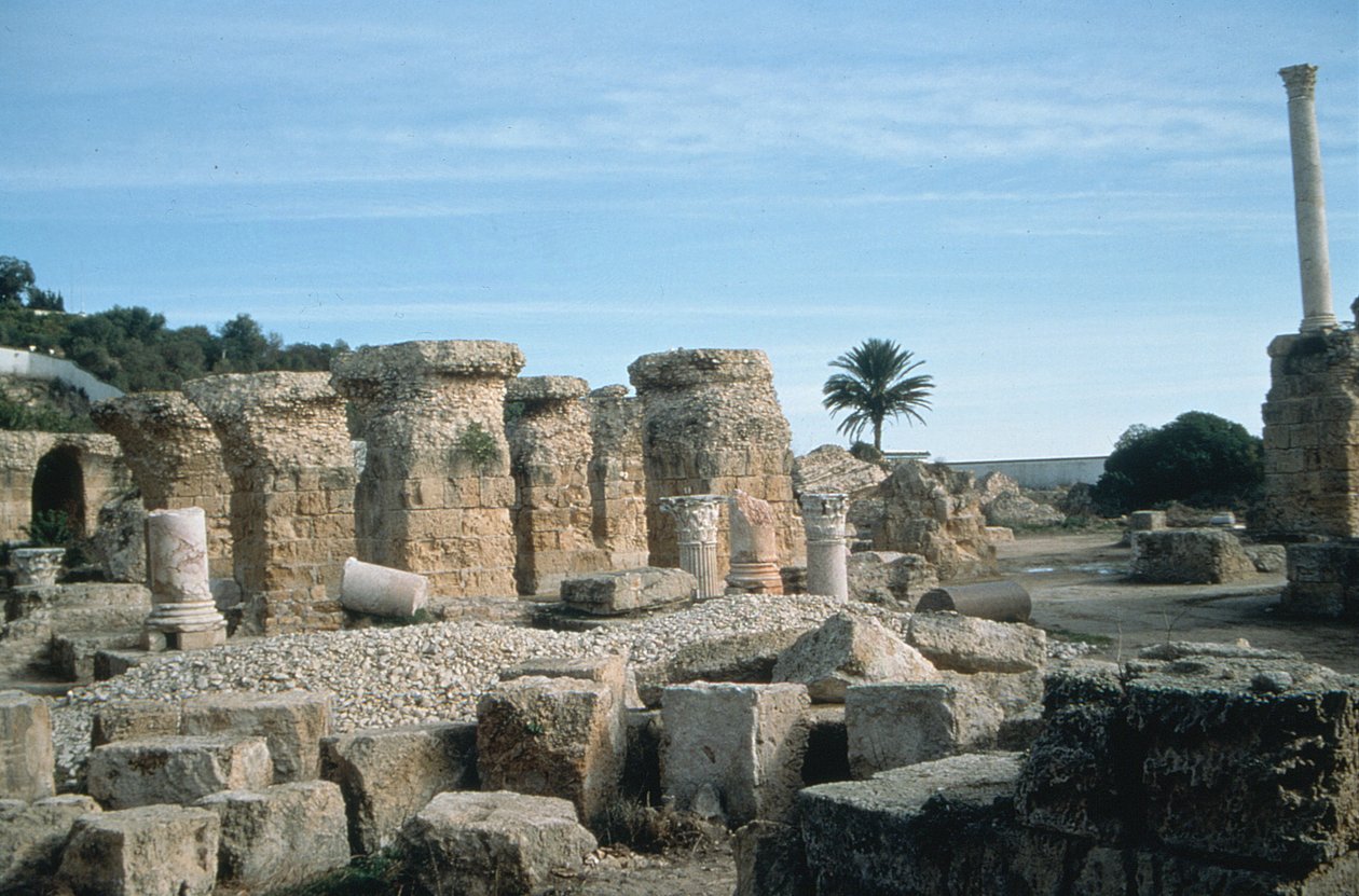 Pohled na zříceniny od Roman