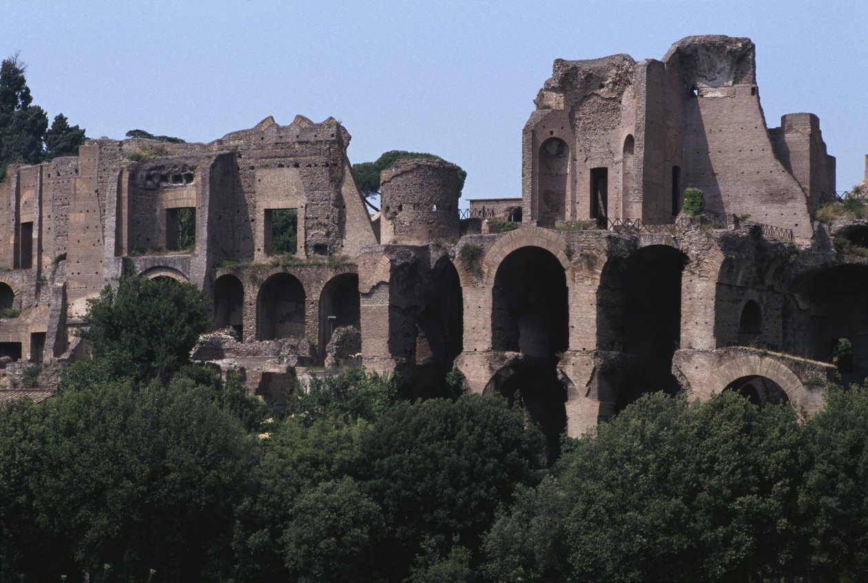 Pohled na Palatine z Circus Maximus (barevné foto) od Roman