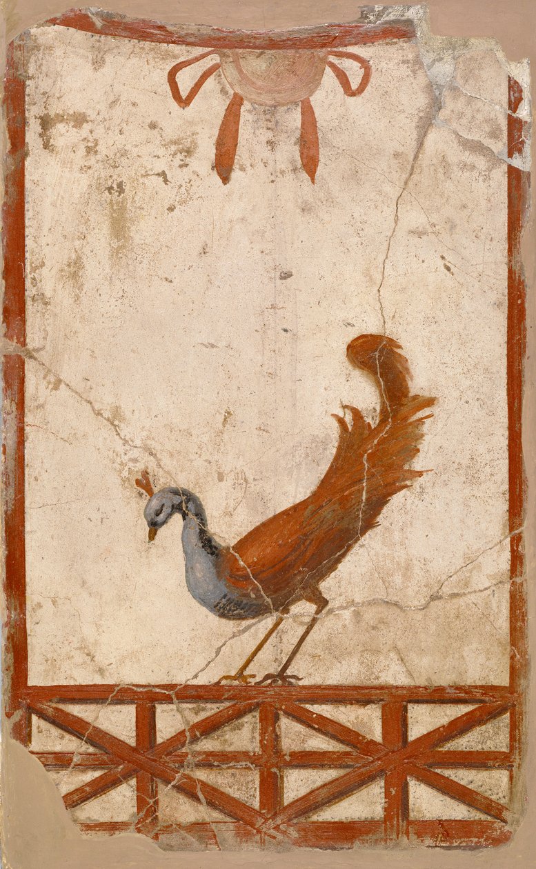 Fragment stěny s pávem, 1. století od Roman