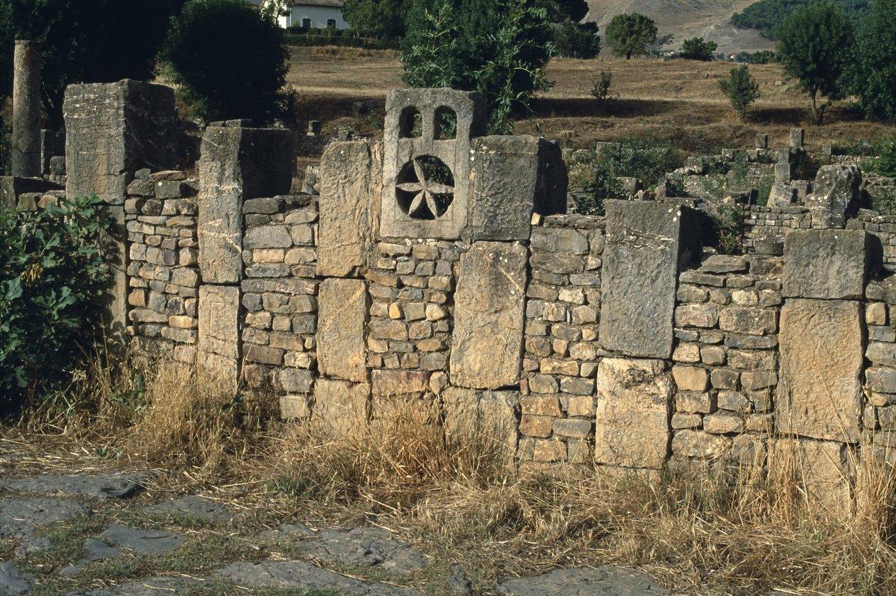 Zeď, vrcholné císařské období (27 př. n. l.-395 n. l.) (viz detail 267047) od Roman Imperial Period