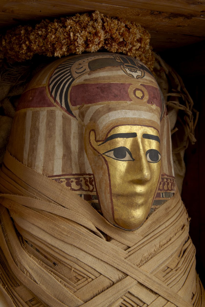 Ptolemaiovská rakev, mumie s pozlacenou maskou a květinovými girlandami (cypřišové dřevo) od Roman Period Egyptian