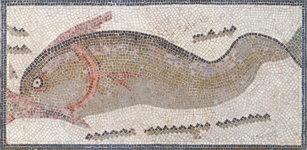 Delfín, z Tunisu, 3.-5. století našeho letopočtu (mozaika) od Roman Roman