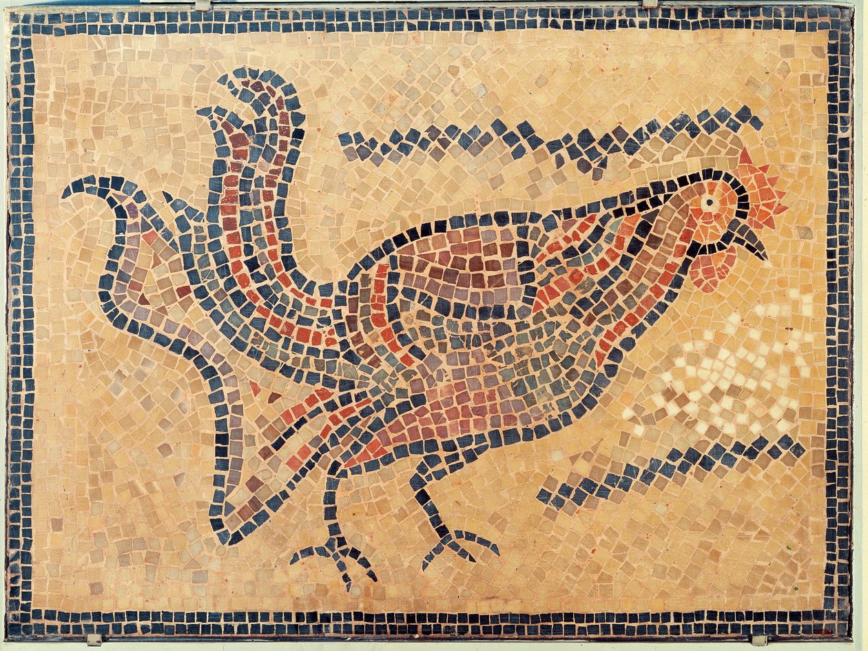 Kohout, z Tunisu, pravděpodobně koncem 5. století našeho letopočtu (mozaika) od Roman Roman