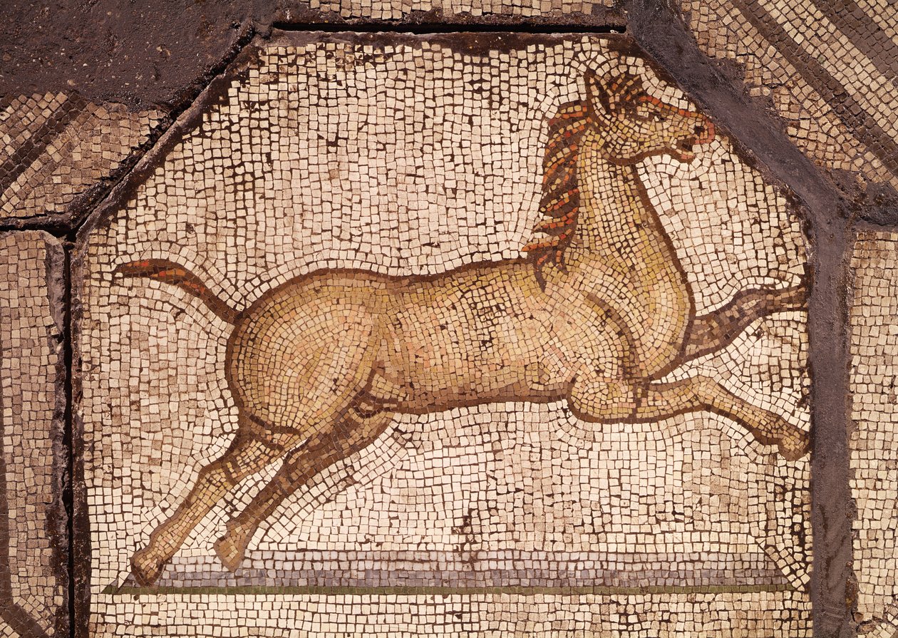 Kůň, detail z mozaiky Orfeus okouzluje zvířata (mozaika) od Roman