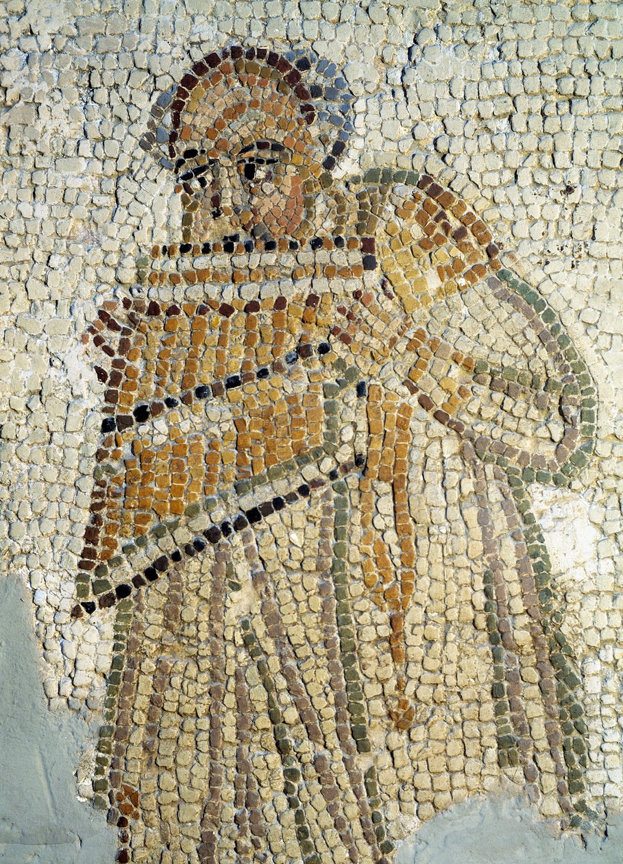 Hráč na panovou flétnu (Mosaic od Roman