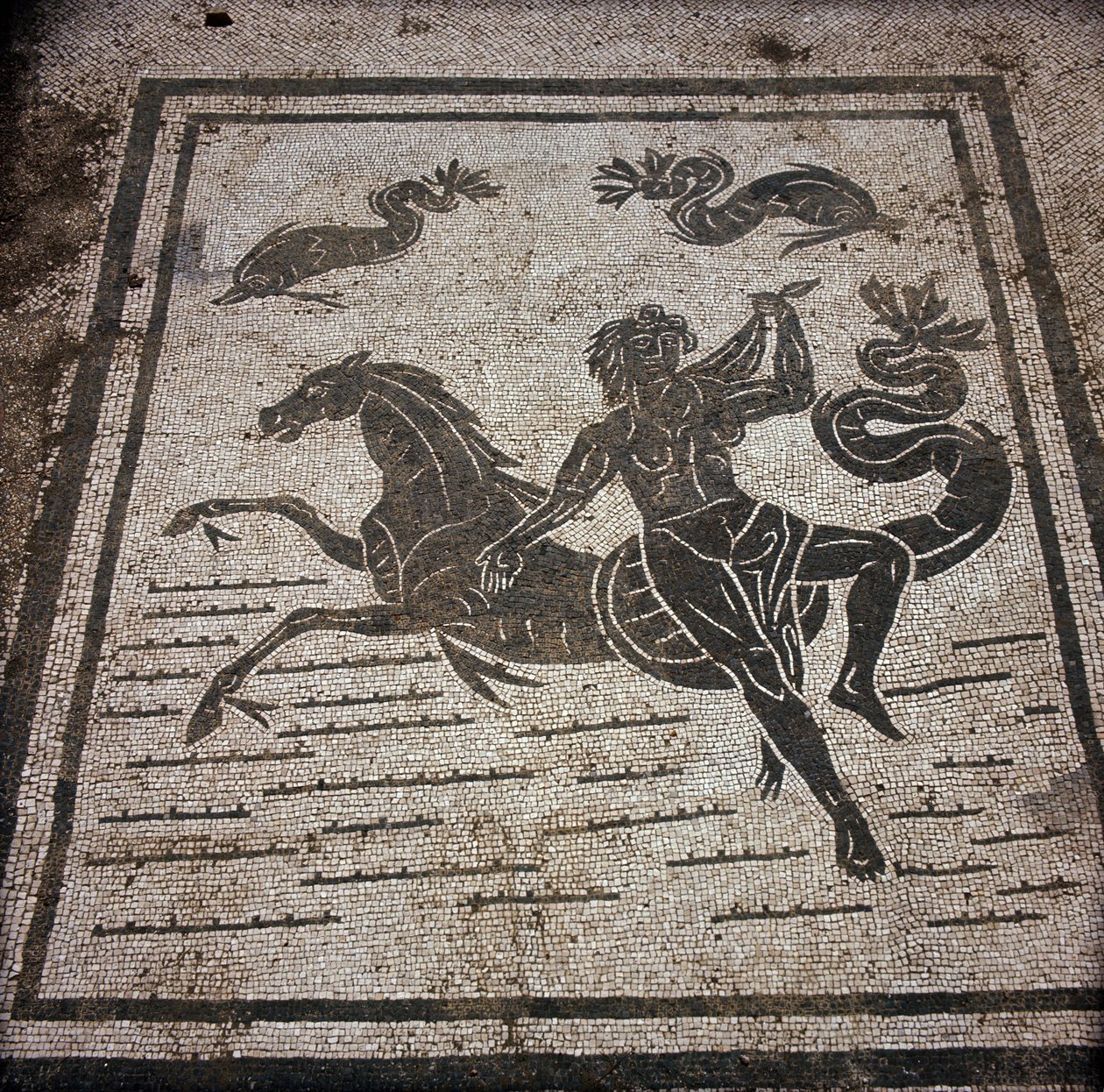 Starověká Ostia (Ostia). Place des Corporations. Mozaika Sabratha Seafarers Corporation. Nymfa a mořský kůň. od Roman